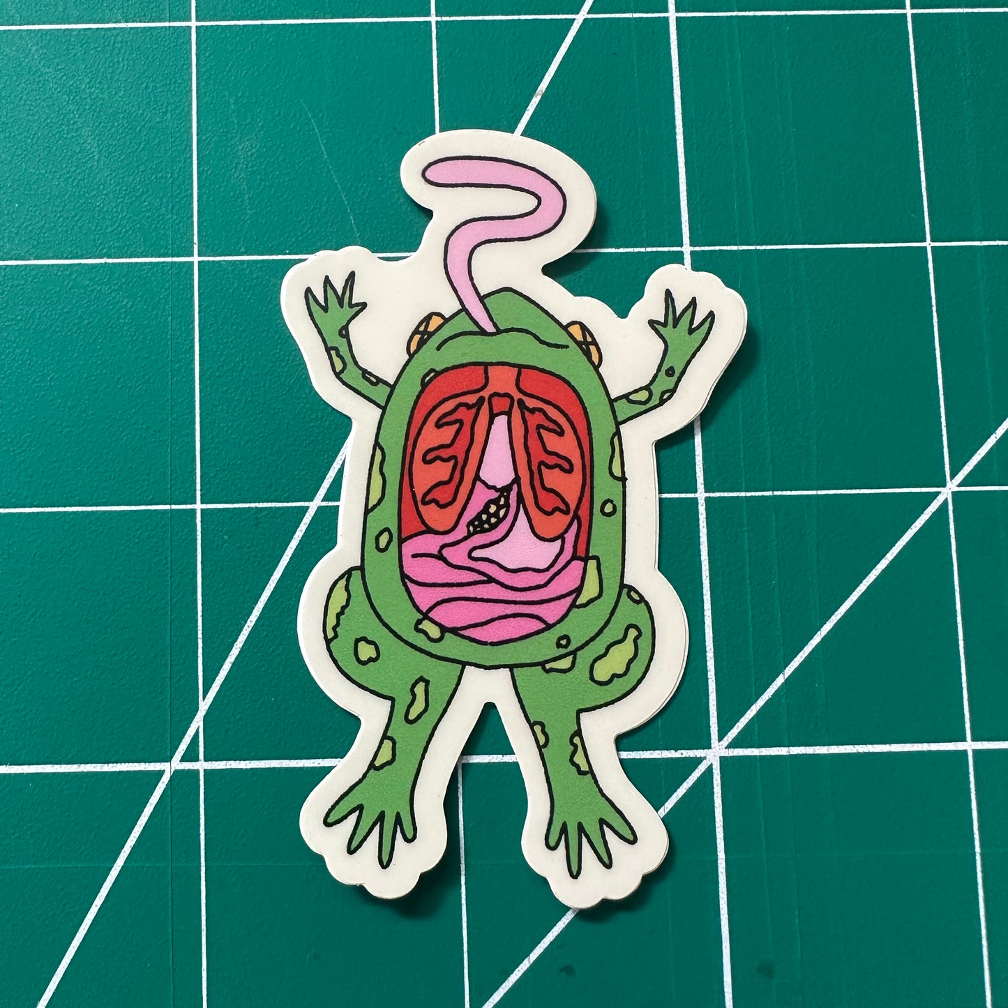 Dissected Frog Sticker