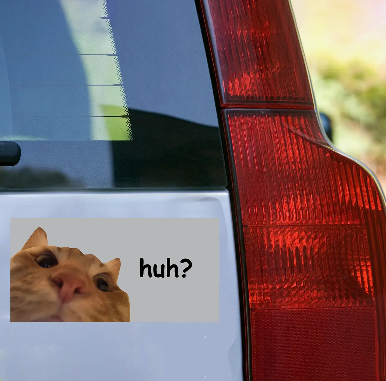 Huh? Dumb Orange Cat Bumper Sticker