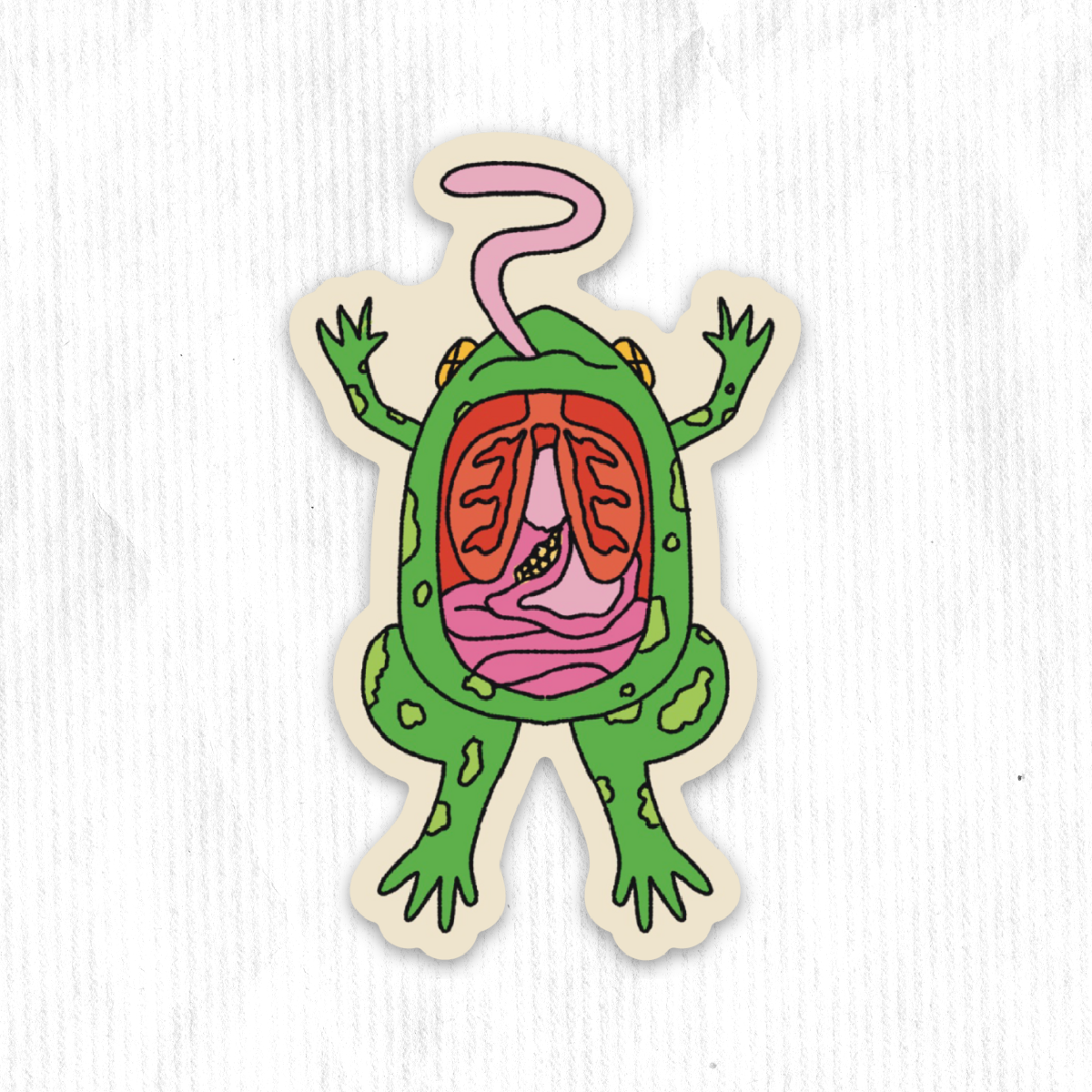 Dissected Frog Sticker