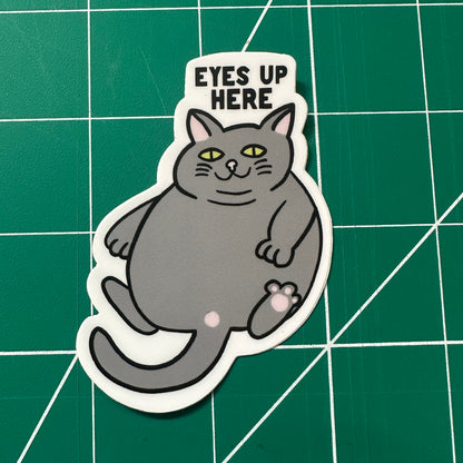 Eyes Up Here Cat Sticker