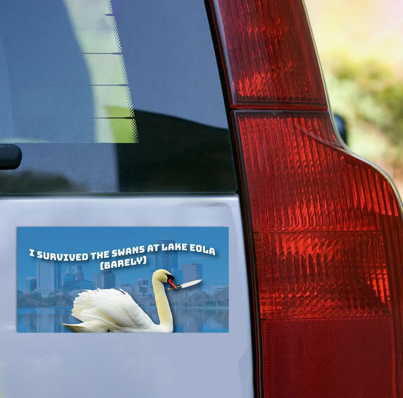 I Survived the Swans at Lake Eola Bumper Sticker