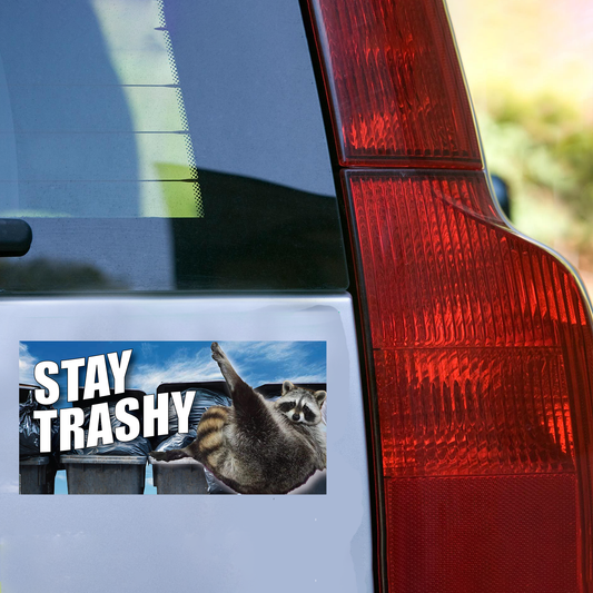 Stay Trashy Raccoon Bumper Sticker