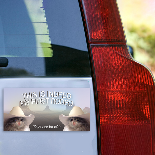 This Is Indeed My first Rodeo, So Please Be Nice To Me Sad Cowboy Cat Bumper Sticker
